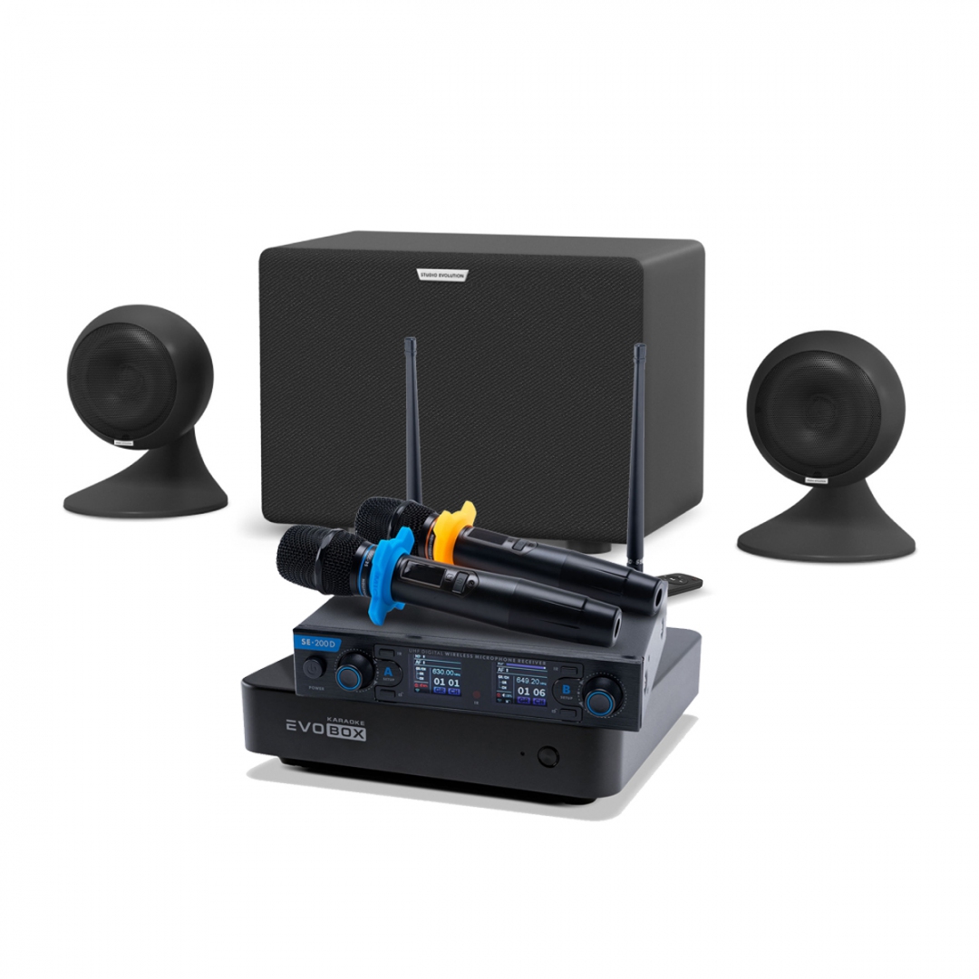 караоке-комплект EVOBOX + EvoSound Sphere 2.1 в Магдагачах