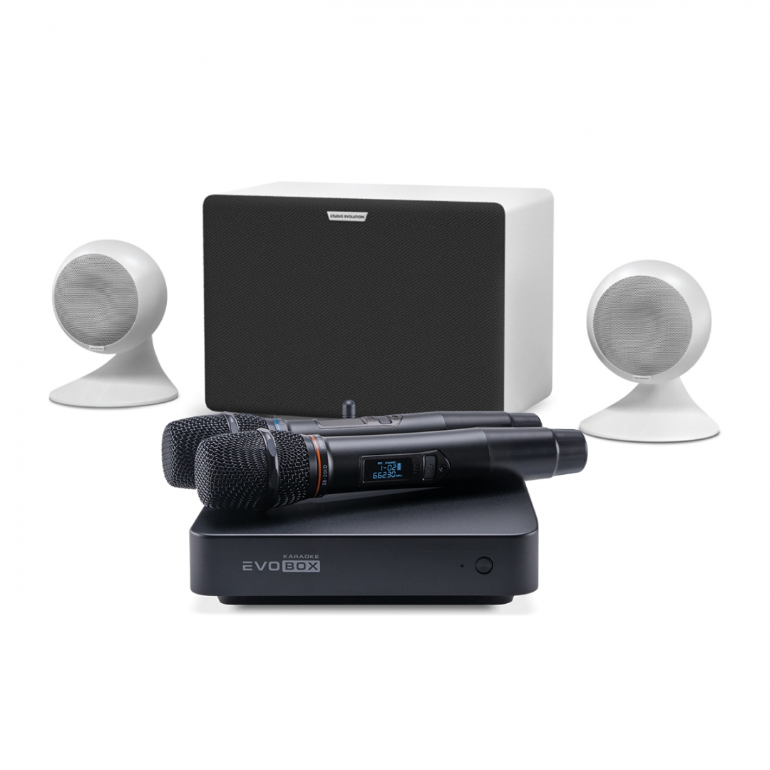 караоке-комплект EVOBOX Classic + EvoSound Sphere 2.1 в Магдагачах