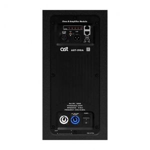 Активная акустическая система AST-310A в Магдагачах