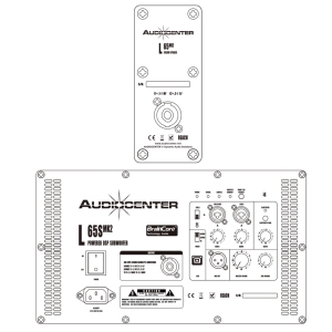 Audiocenter L65 пассивная акустическая система в Магдагачах