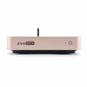 EVOBOX Plus караоке-система для дома в Магдагачах